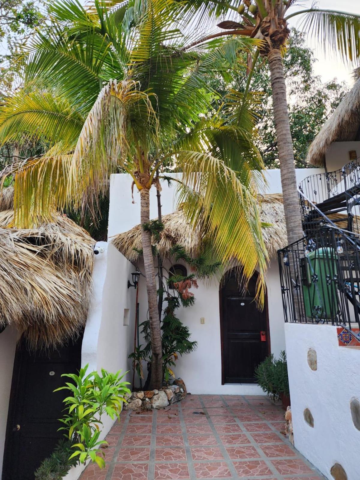 מלון פוארטו אסקונדידו Esencia Puerto Escondido מראה חיצוני תמונה