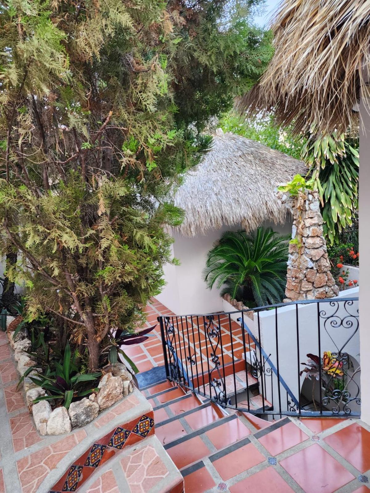 מלון פוארטו אסקונדידו Esencia Puerto Escondido מראה חיצוני תמונה